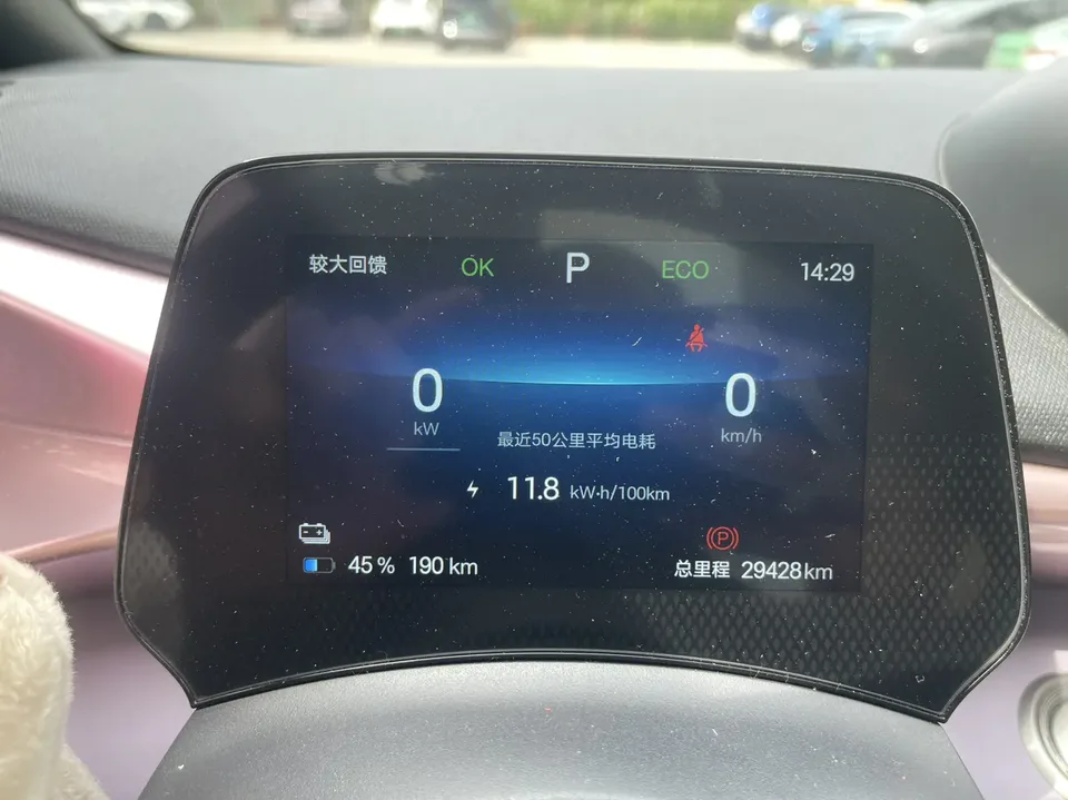 BYD Dolphin Honor Edition 420km Fashion Edition 2024 — миниатюра 4