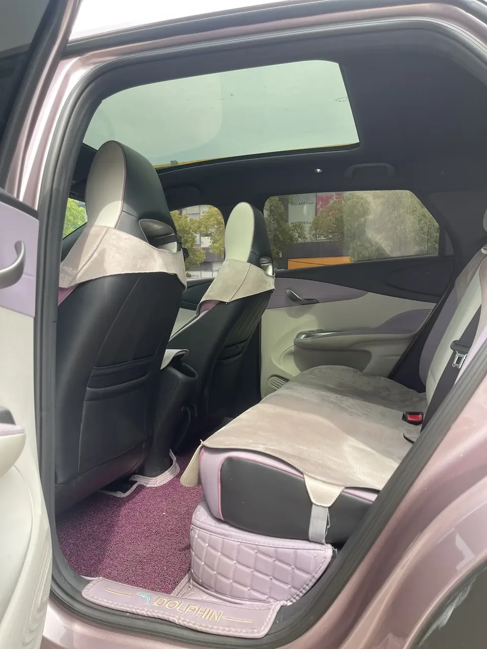 BYD Dolphin Honor Edition 420km Fashion Edition 2024 — миниатюра 5