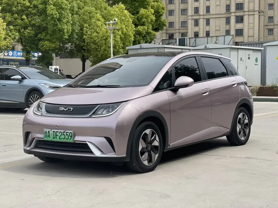 BYD Dolphin 2024