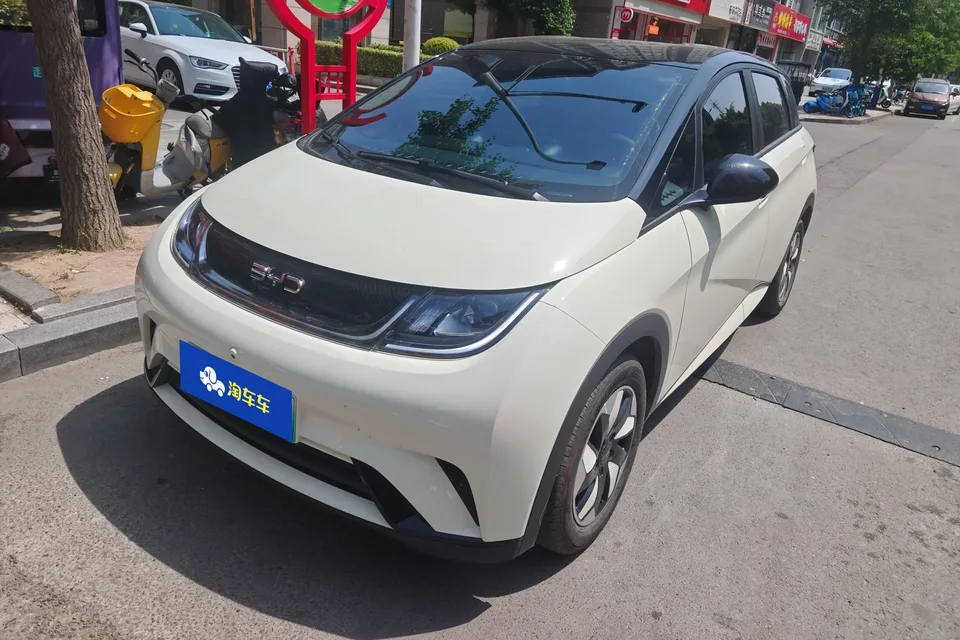 BYD Dolphin Dolphin 2025 Dolphin 2025 420KM Freedom Edition 2026 — photo 1, buy with delivery to Moscow