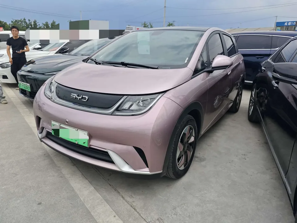 BYD Dolphin Dolphin 2024 Honor Edition 420km Fashion Edition 2025 — photo 1, buy with delivery to Moscow