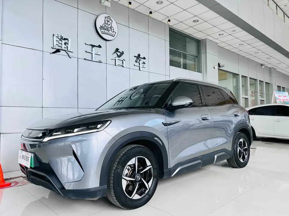 BYD Yuan Up 2024
