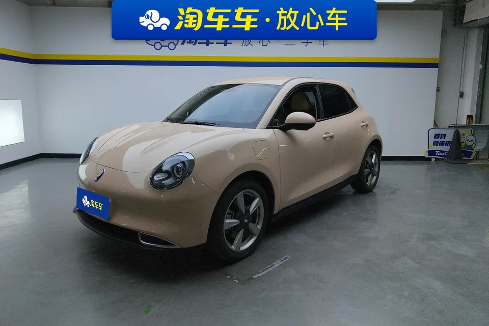 ORA Euler good cat Euler good cat 2023 401km standard range luxury lithium iron phosphate 2023 — photo 1, buy with delivery to Moscow