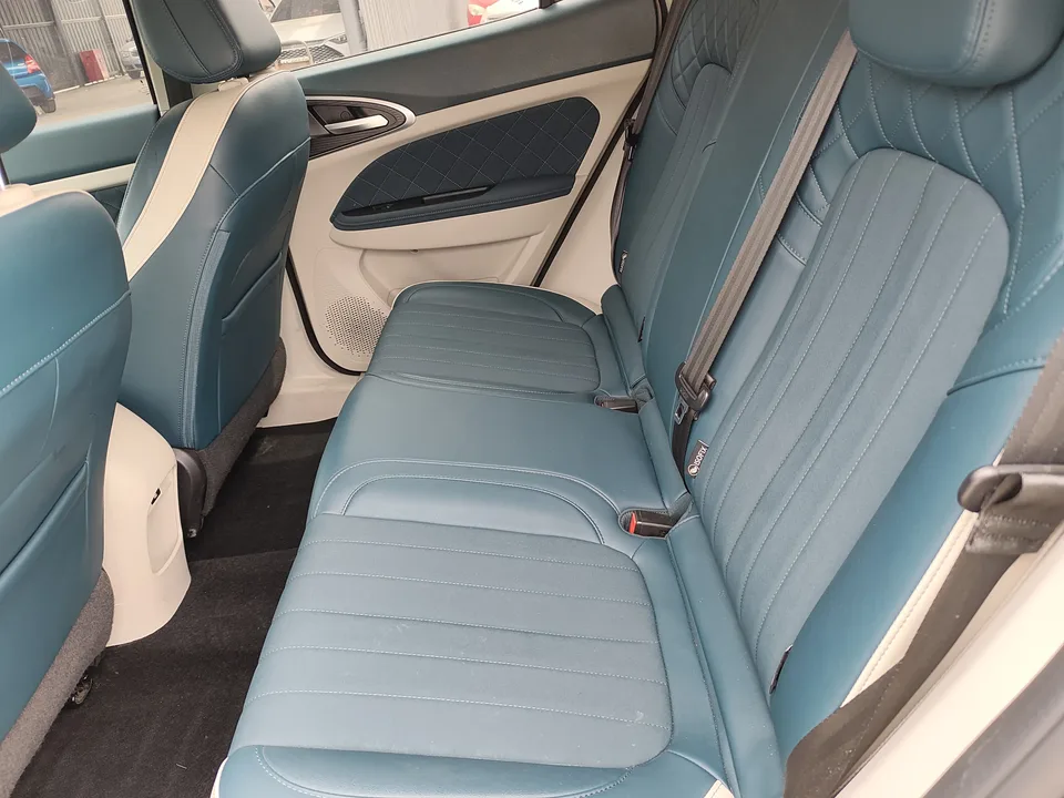 ORA Euler good cat 401km standard range luxury lithium iron phosphate 2024 — миниатюра 3