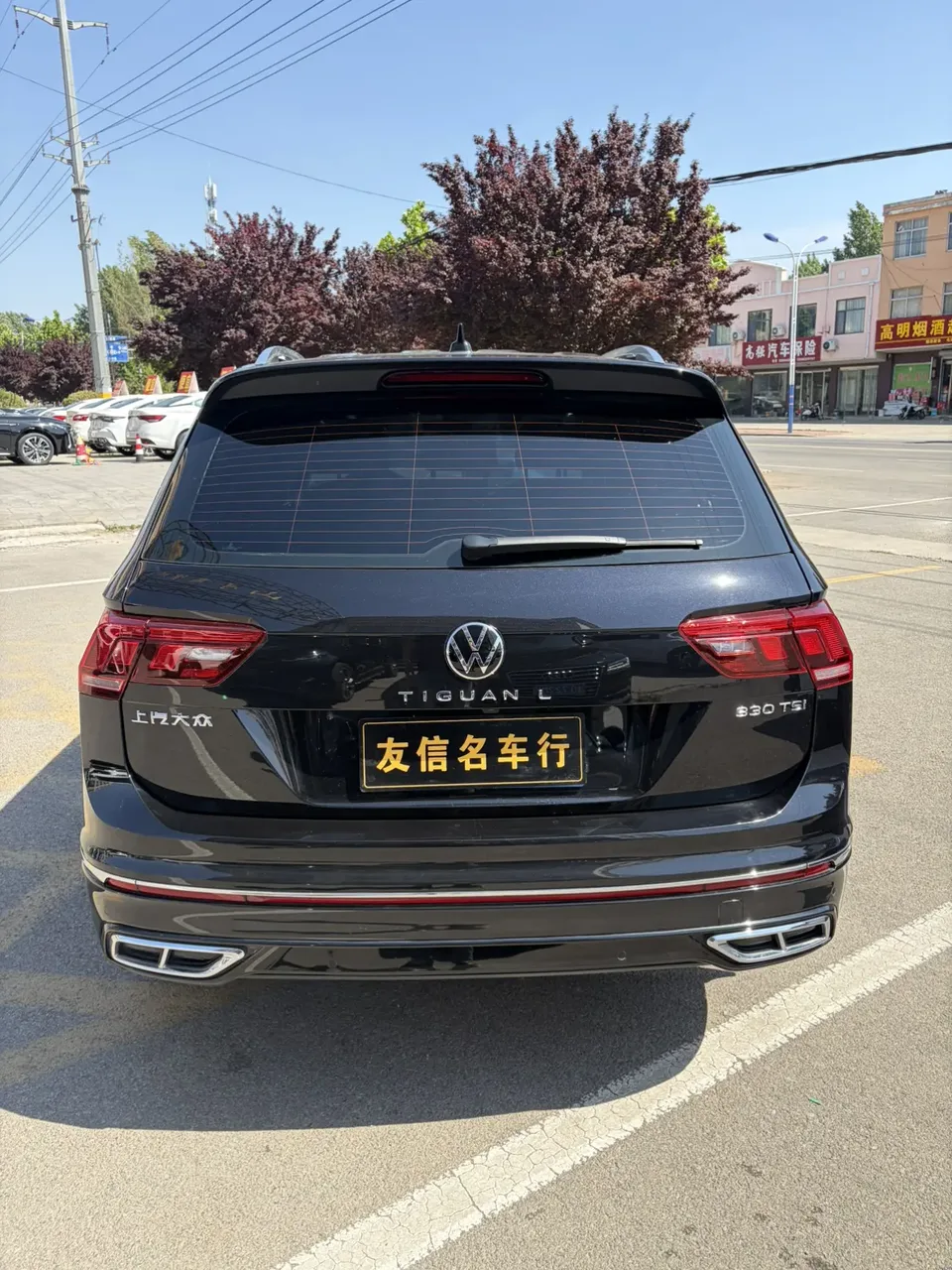 Volkswagen Tiguan L Outstanding Model 330TSI 2WD R-Line Dragon Edition 2025 — миниатюра 2