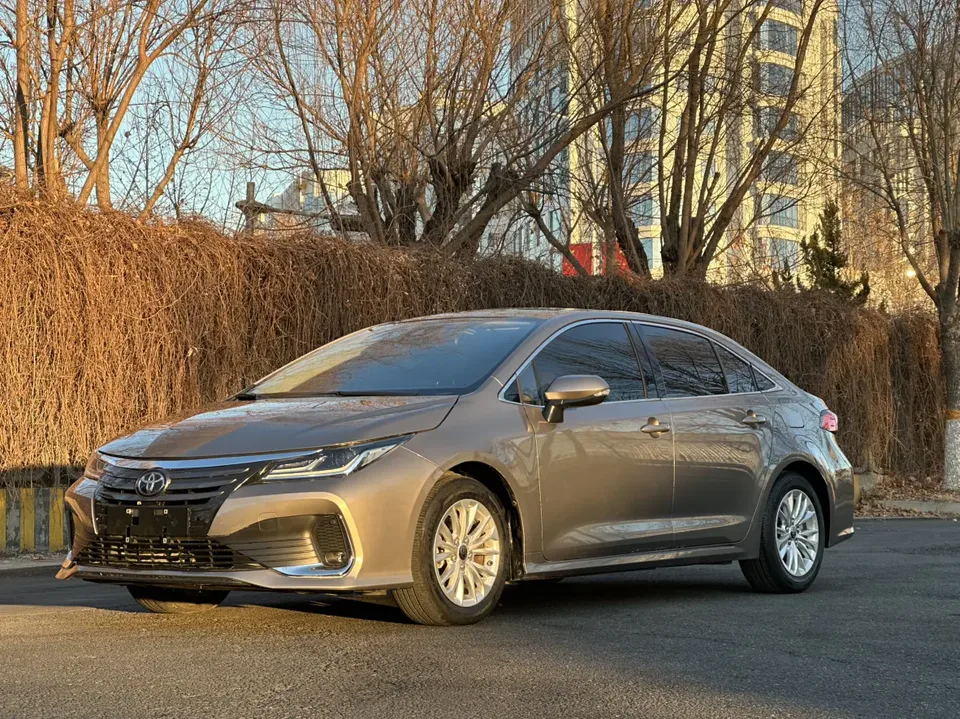 Toyota Asiatic lion 2023