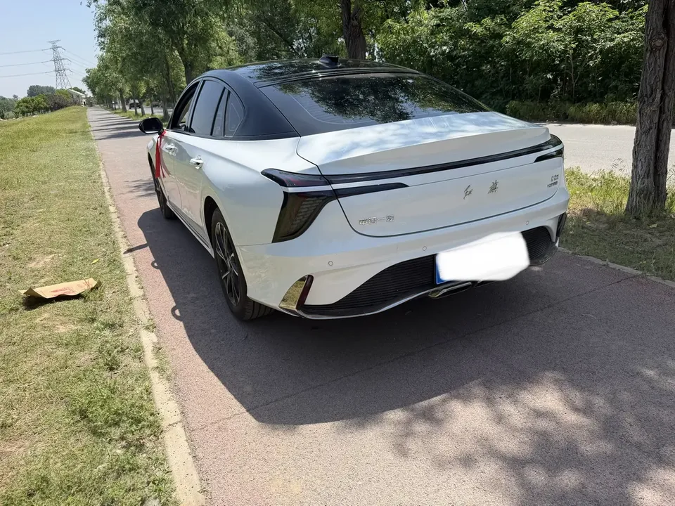 Hongqi H6 2.0T Luxury Edition 2024 — миниатюра 4