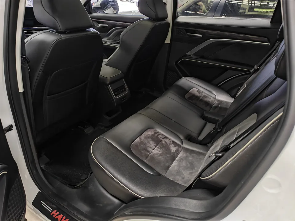 Haval H6 National Fashion Edition 1.5T Automatic Champion Edition 2024 — миниатюра 3