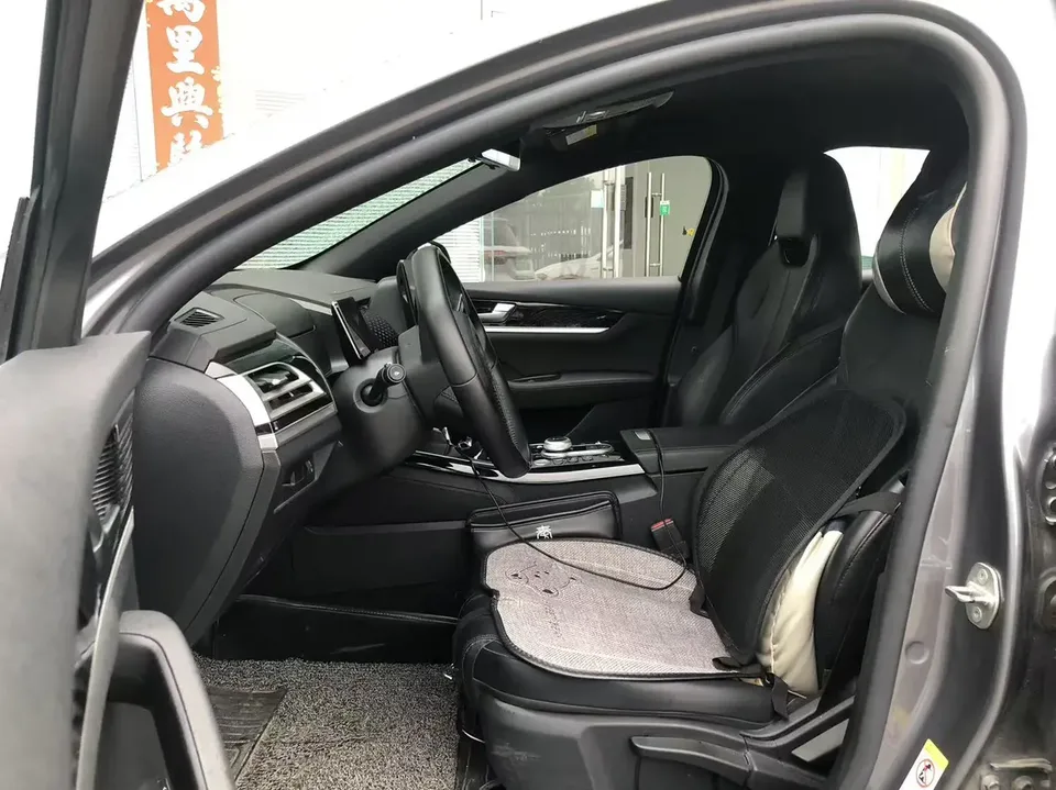 BYD Qin PLUS EV 510KM travel version 2024 — thumbnail 5