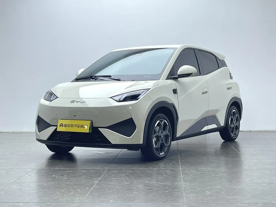 BYD Seagull Seagull 2025 Intelligent Driving Edition 305KM Free Edition 2025 — photo 1, buy with delivery to Moscow