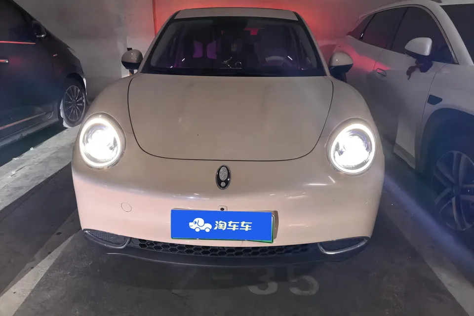 ORA Euler good cat Euler good cat 2022 400km standard range premium ternary lithium model 2022 — photo 1, buy with delivery to Moscow