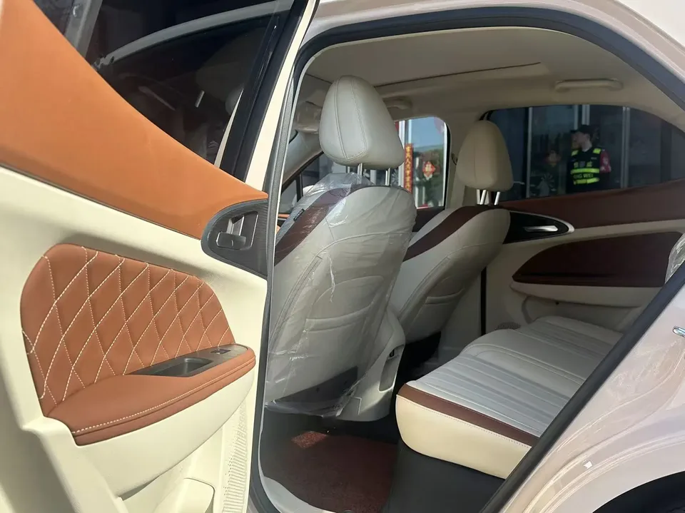 ORA Euler good cat 430km Luxury Edition 2025 — миниатюра 3