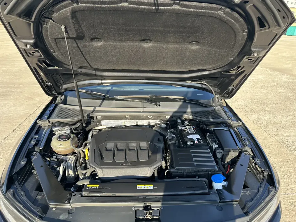 Volkswagen Magotan 330TSI DSG 30th Anniversary Edition 2022 — миниатюра 3