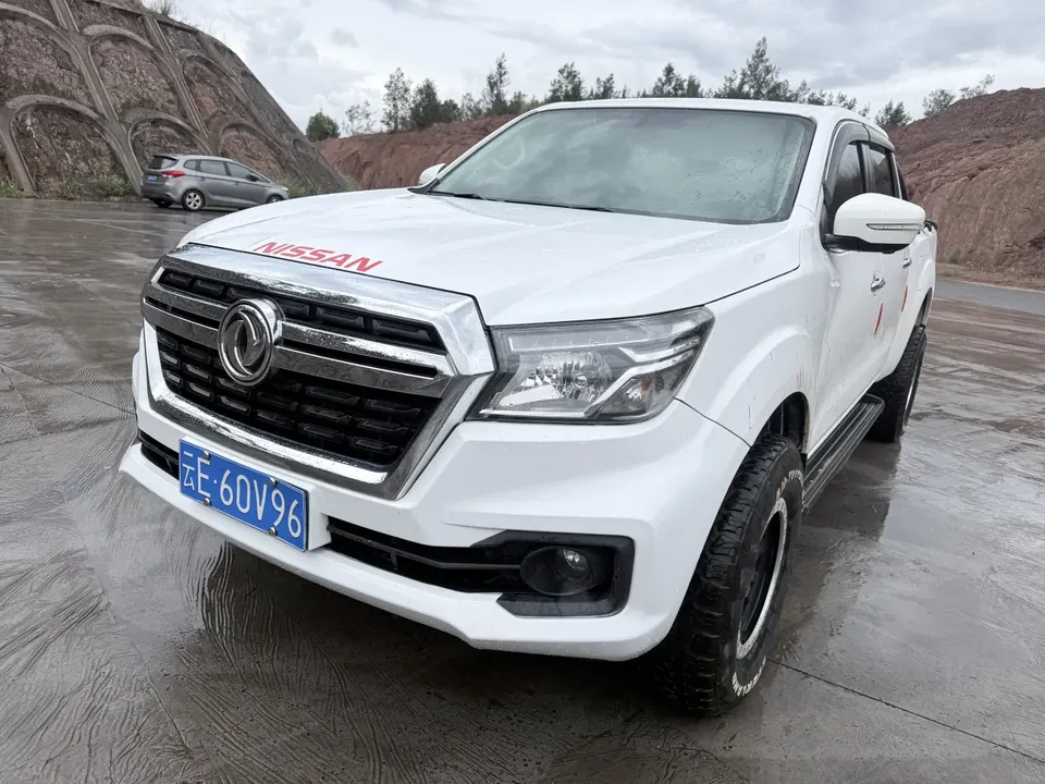 Dongfeng Ruiqi 6 2023