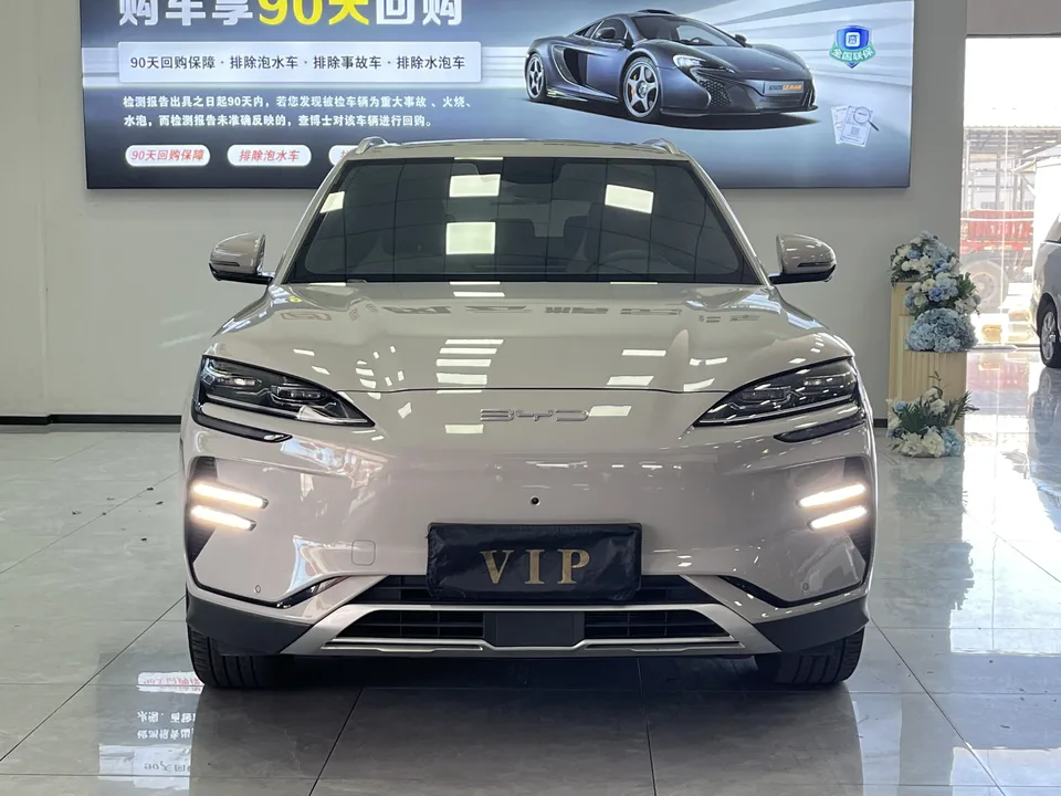 BYD Song PLUS EV Champion Edition 520KM Premium 2024 — миниатюра 5
