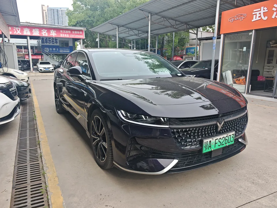 Voyah Passion PHEV 2024