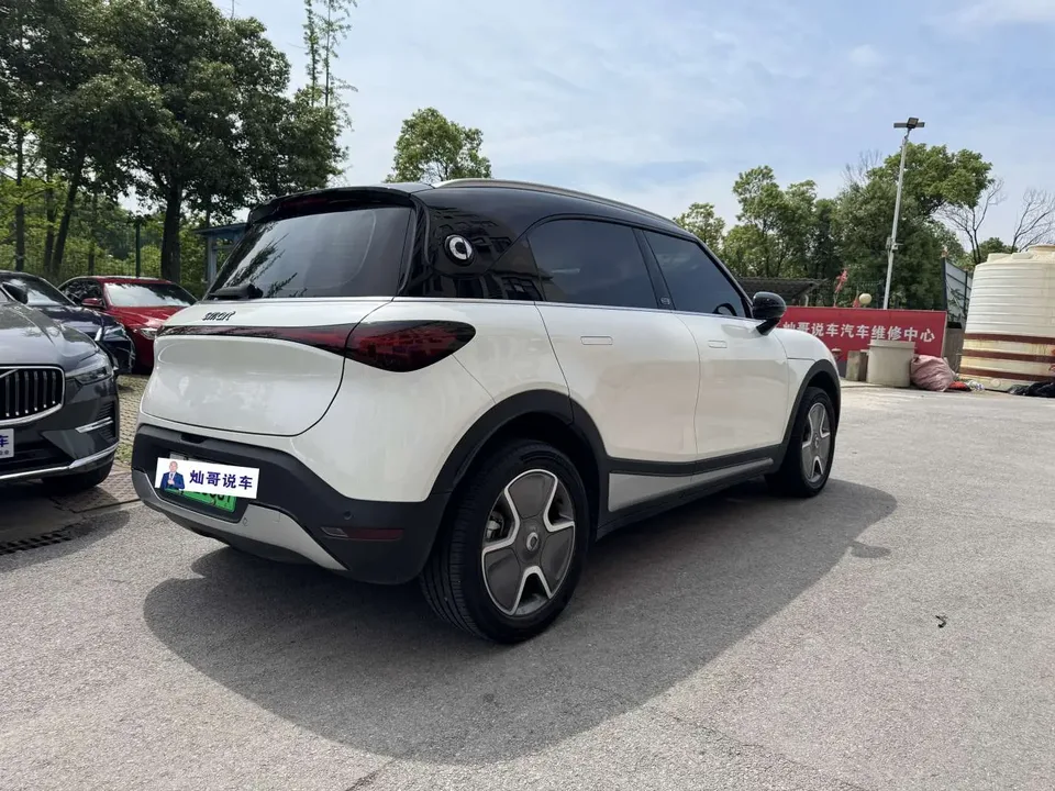 Smart Elf #1 Smart Long-range Edition 2024 — миниатюра 4