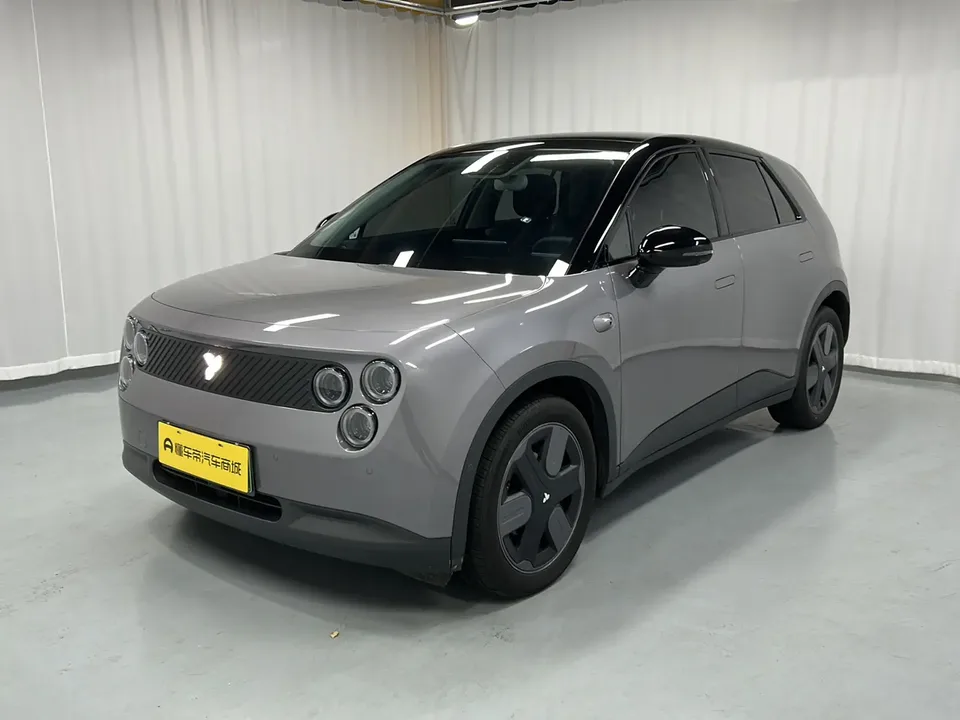 Firefly firefly firefly Luminous version 2025 — photo 1, buy with delivery to Moscow