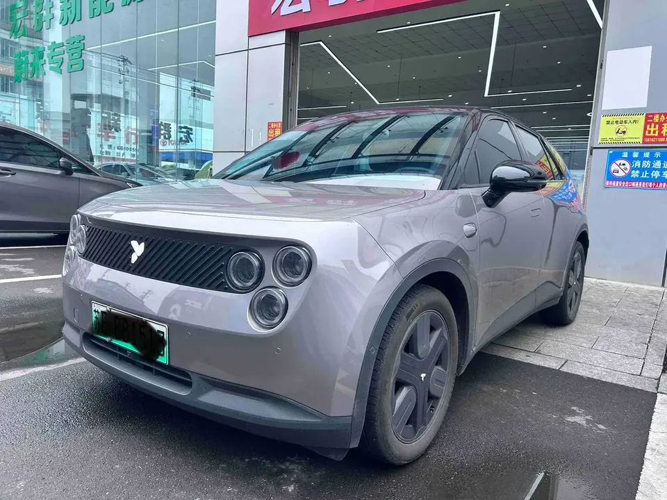 Firefly firefly firefly Luminous version 2025 — photo 1, buy with delivery to Moscow