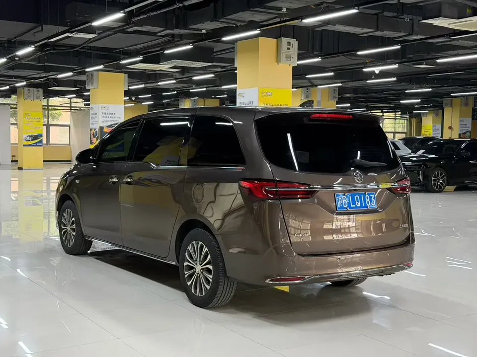 Buick GL8 Land Business Class 2.0T Luxury Edition 2025 — миниатюра 4