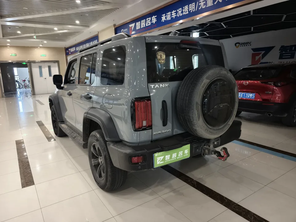 Tank 300 300 2023 Tank 300 2023 off-road version 2.0T Conqueror 2023 — миниатюра 3