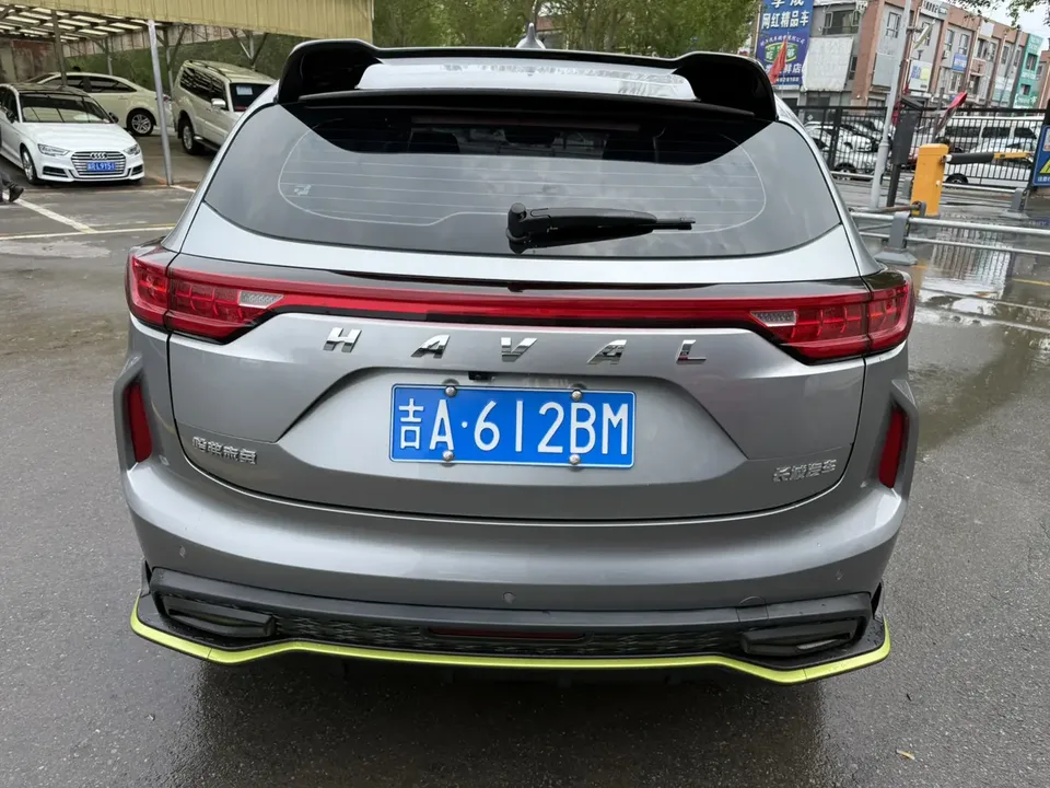 Haval Harvard Red Rabbit Haval Chitu 2022 Jinxiang Edition 1.5T Bronze Rabbit 2023 — миниатюра 5