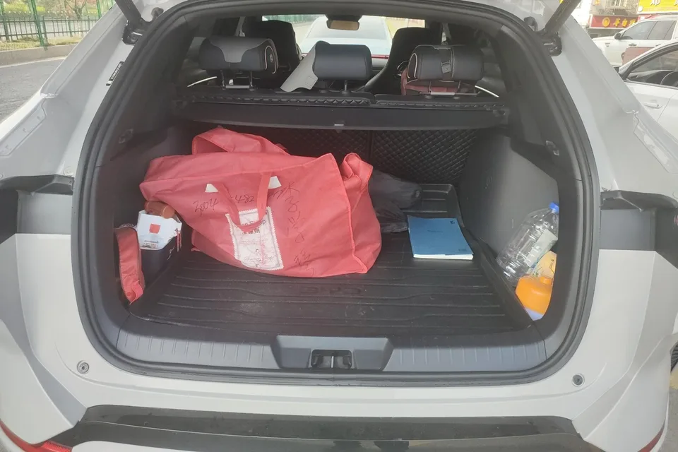 BYD Song PLUS DM DM-i Champion Edition 110KM Flagship Model 2023 — миниатюра 4