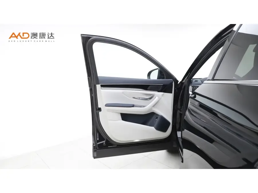 BYD Song PLUS EV Champion Edition 520KM Premium 2023 — миниатюра 4