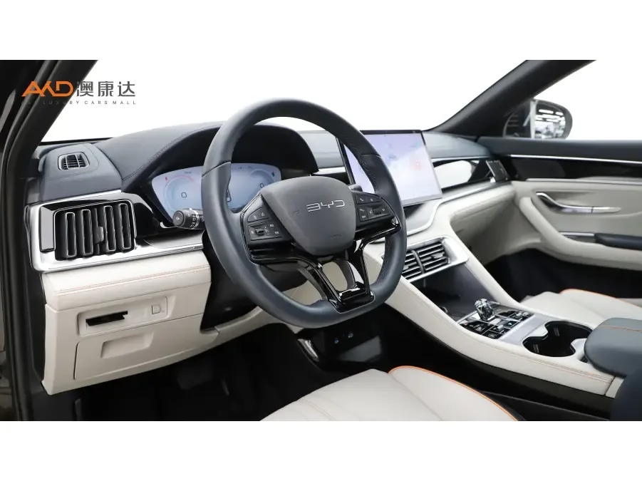 BYD Song PLUS EV Champion Edition 520KM Premium 2023 — миниатюра 5