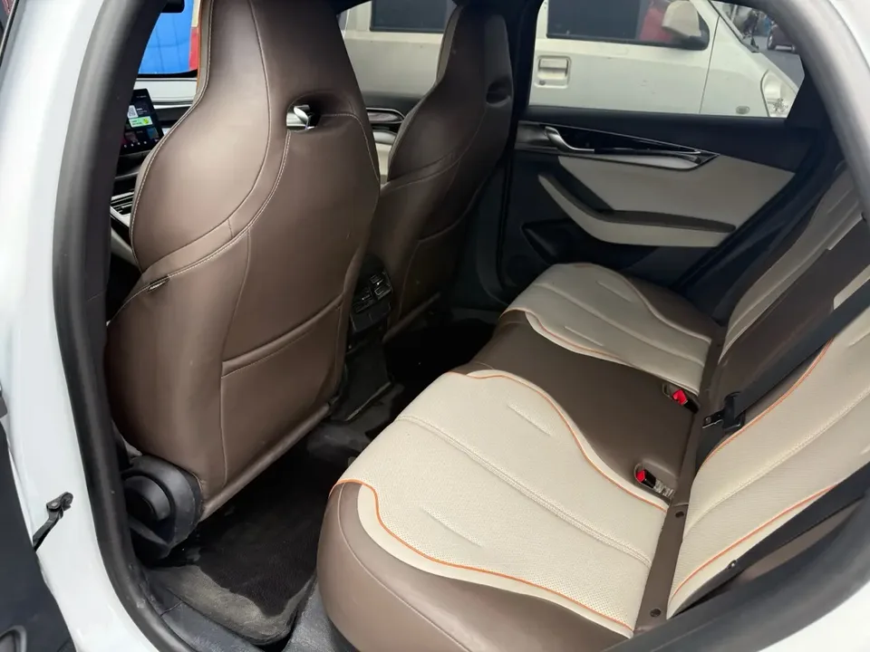 BYD Qin PLUS EV Honor Edition 510KM Transcendence Type 2024 — миниатюра 4
