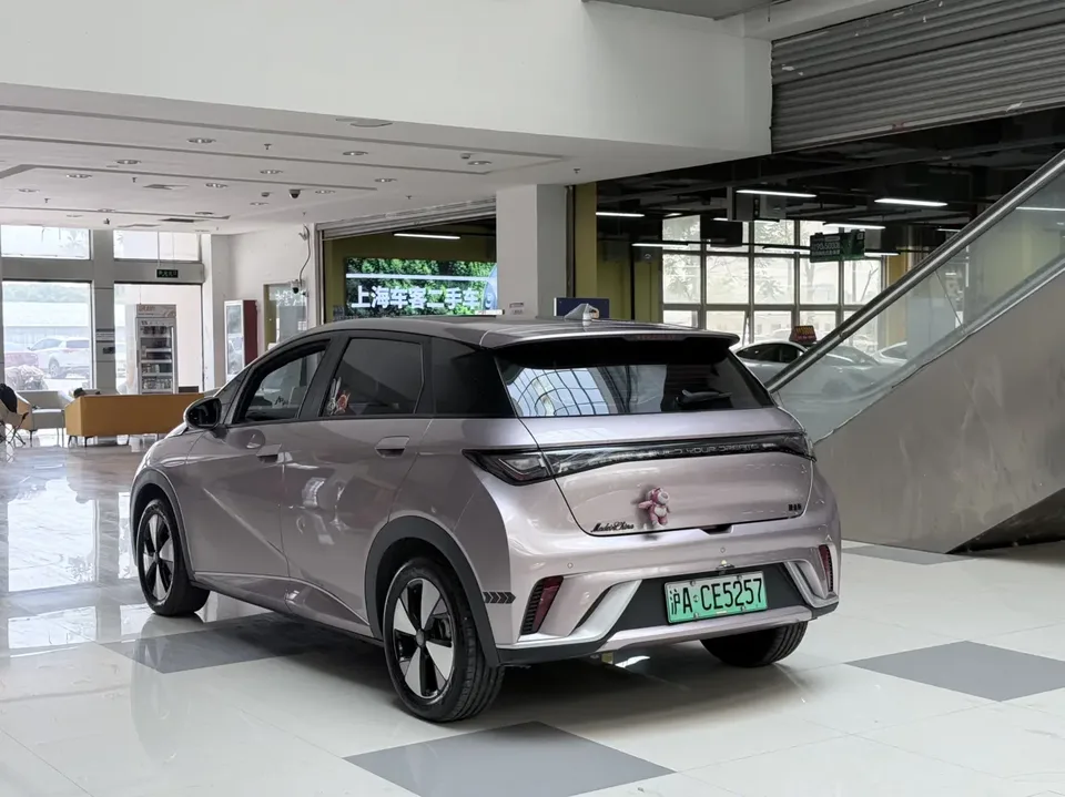 BYD Dolphin Dolphin 2024 Honor Edition 420km Free Edition 2023 — миниатюра 4