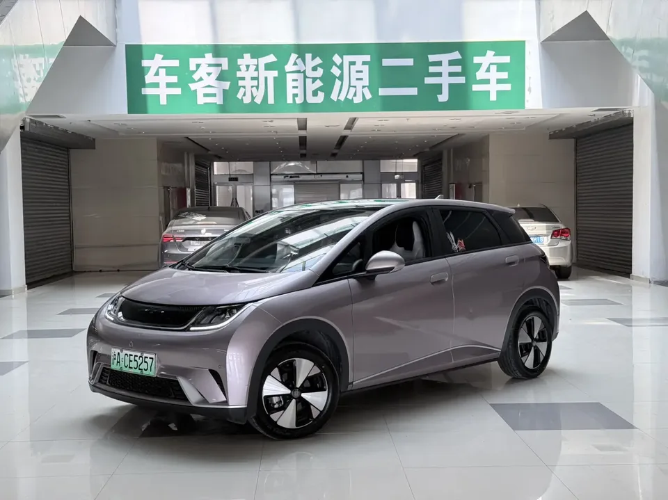 BYD Dolphin Dolphin 2024 Honor Edition 420km Free Edition 2023 — photo 1, buy with delivery to Moscow