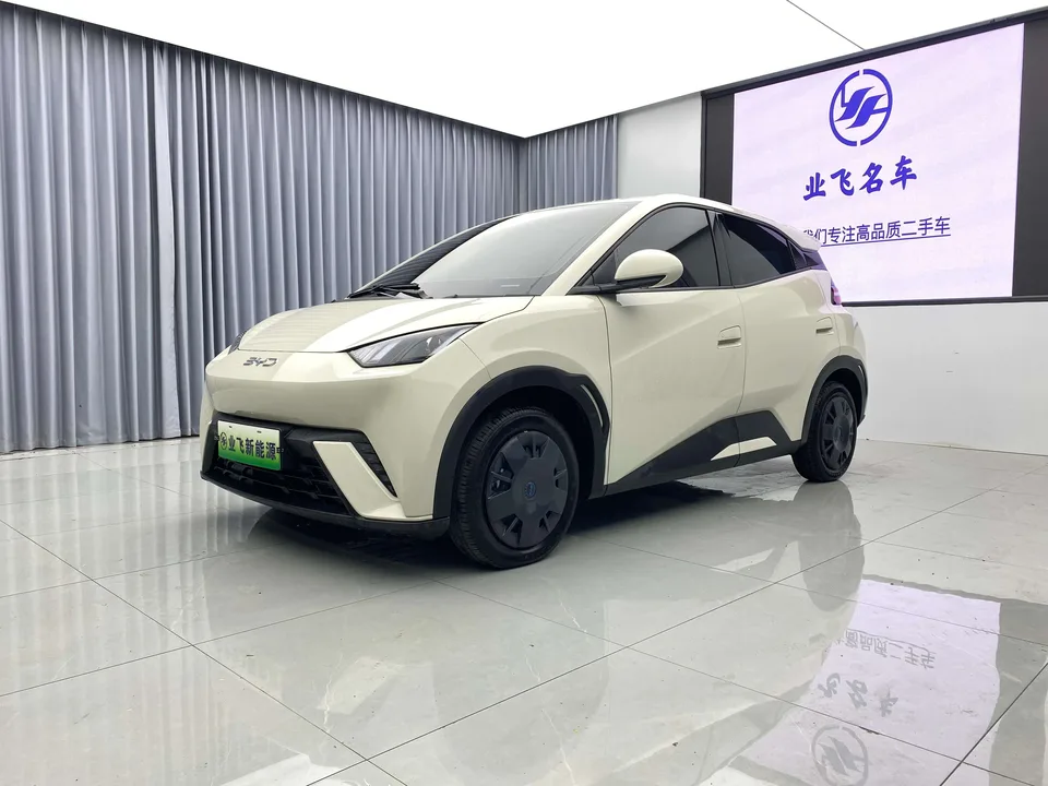 BYD Seagull seagull 2025 305KM Vitality Edition 2025 — photo 1, buy with delivery to Moscow