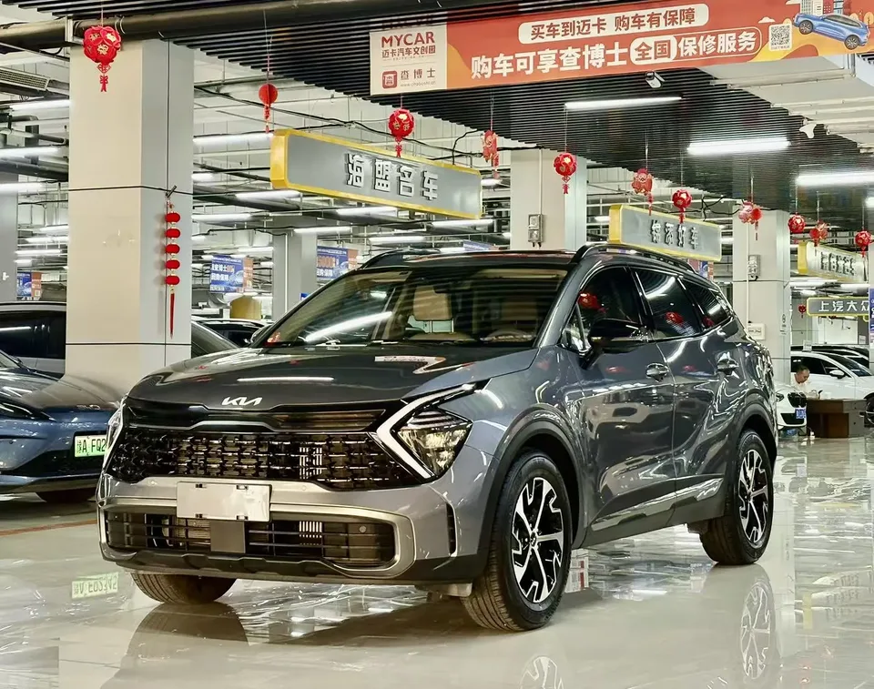 Kia Lion Platinum Expands the Boundary 2024