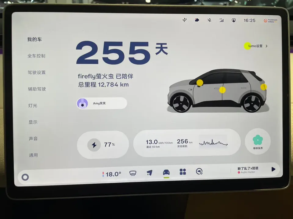 Firefly firefly firefly 2025 Luminous version 2025 — thumbnail 3