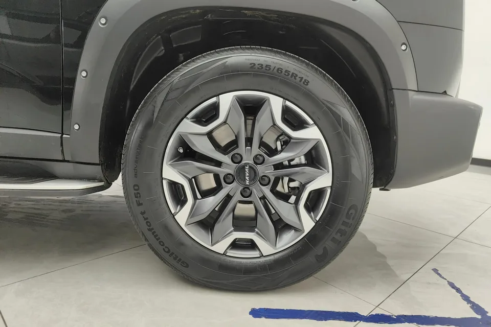 Haval Dargo 2.0T 4WD Chinese Pastoral Dog Hunting Edition 2023 — миниатюра 2