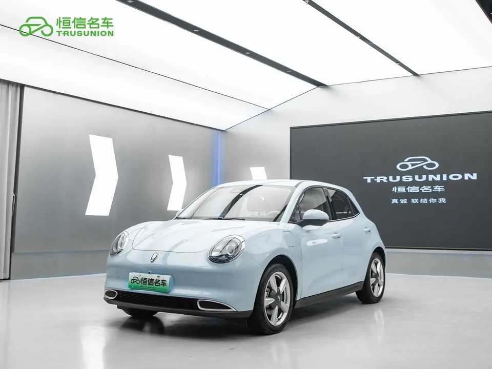 ORA Euler good cat Euler good cat 2022 400km standard range luxury lithium iron phosphate 2022 — photo 1, buy with delivery to Moscow