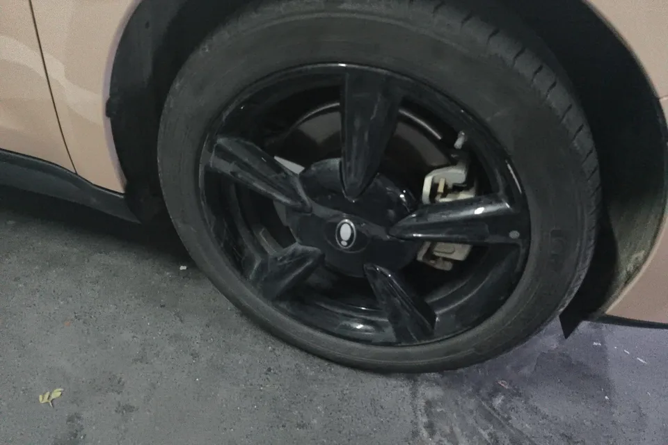 ORA Euler good cat 401km Premium Edition 2024 — миниатюра 2