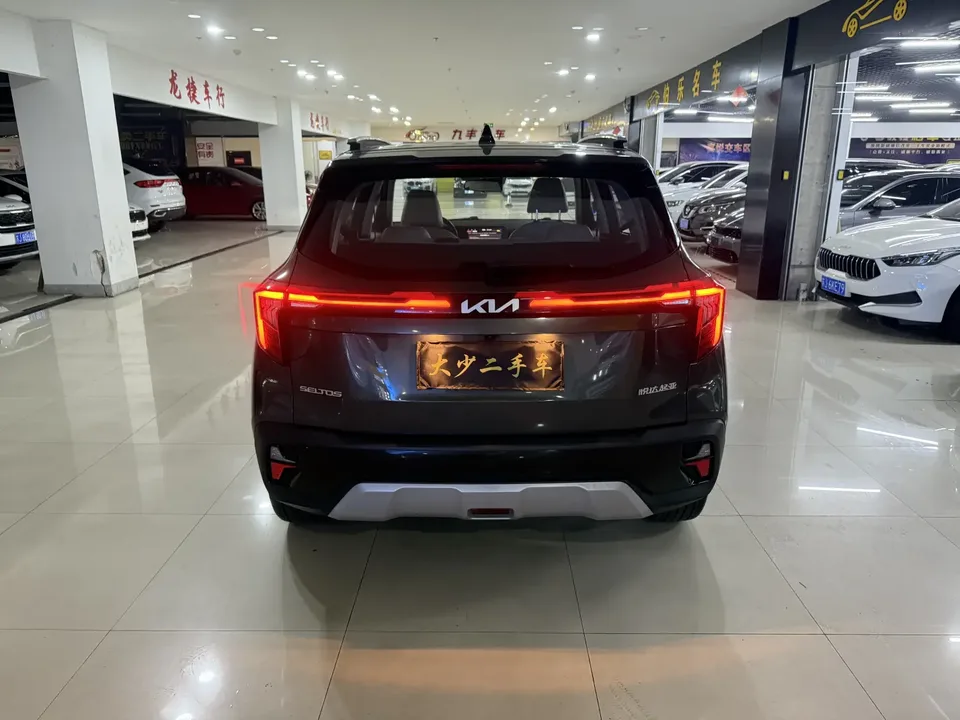 Kia Seltos 1.5L IVT Premium Edition 2024 — миниатюра 2