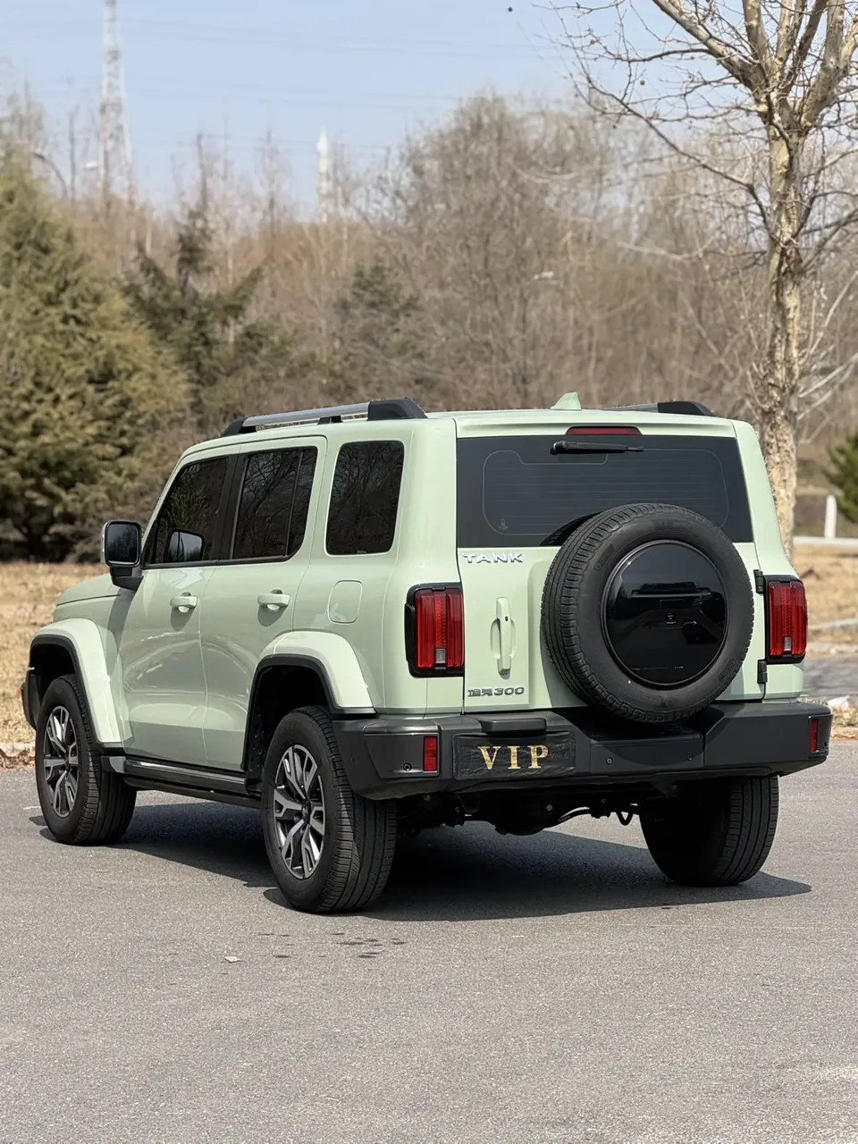Tank 300 City Edition 2.0T Very Stylish 2022 — миниатюра 4