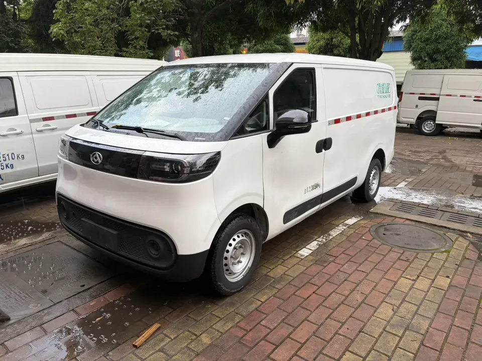 Datong Dana V1 Dana V1 2023 Short-axle low-top 42kWh 2023 — photo 1, buy with delivery to Moscow
