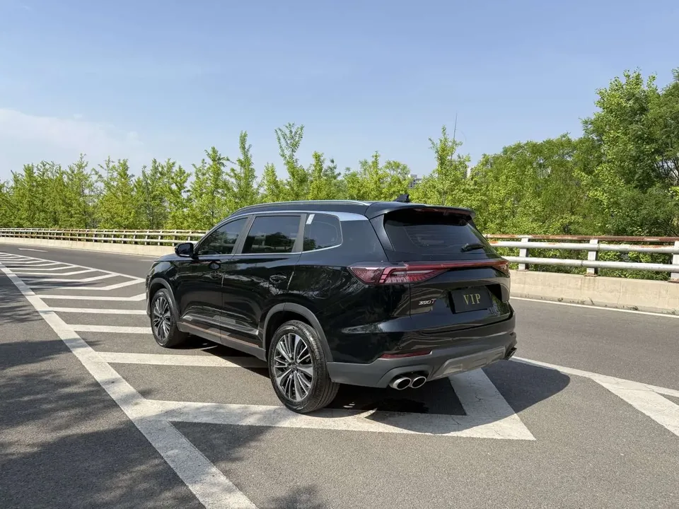 Chery Tiggo 8 Pro Tiggo 8 PRO 2024 Champion Edition 390T 2WD Peak Edition 5 Seaters 2024 — миниатюра 2