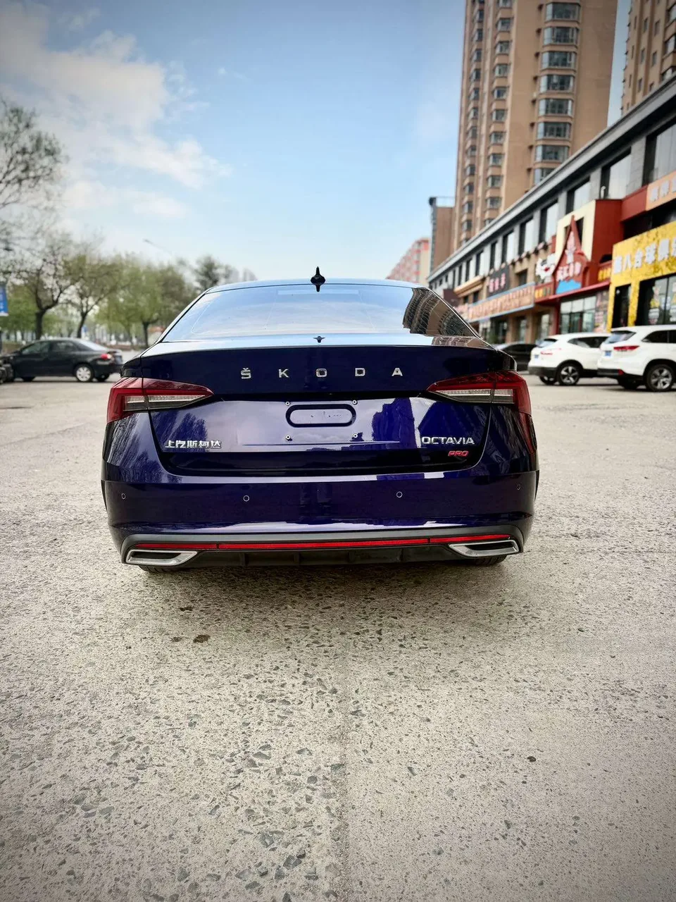 Skoda Octavia PRO TSI280 DSG Exclusive Edition 2023 — миниатюра 2