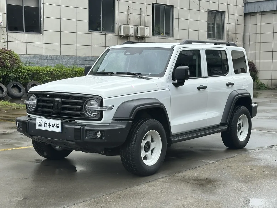 Tank 300 Tank 300 2021 Off-road version 2.0T Conqueror 2022 — photo 1, buy with delivery to Moscow