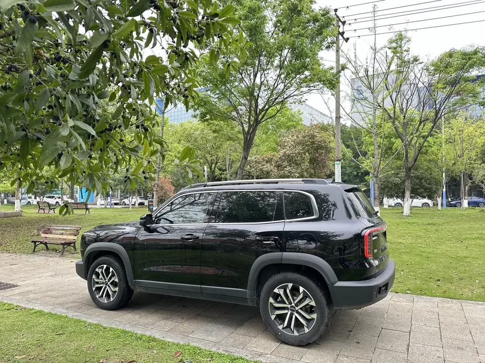 Haval Dargo Haval Big Dog 2024 1.5T 2WD Border Collie Edition 2024 — миниатюра 2
