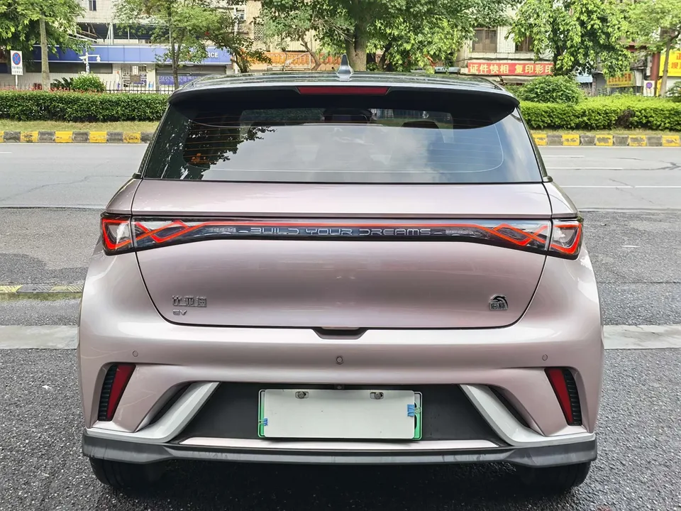 BYD Dolphin Dolphin 2021 Cavalier Edition 2022 — миниатюра 2