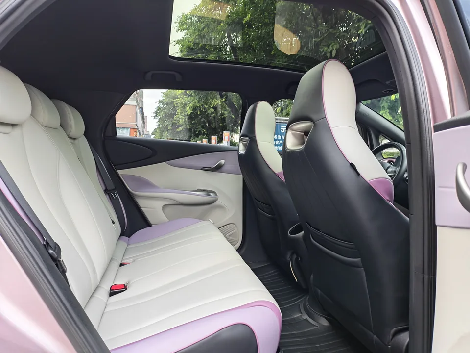 BYD Dolphin Dolphin 2021 Cavalier Edition 2022 — миниатюра 3