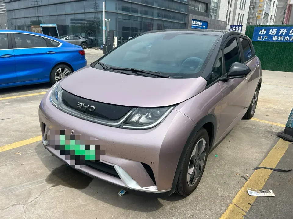 BYD Dolphin 2024