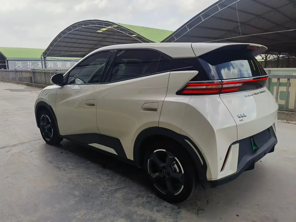 BYD Seagull Seagull 2023 Flying Edition 2024 — thumbnail 4