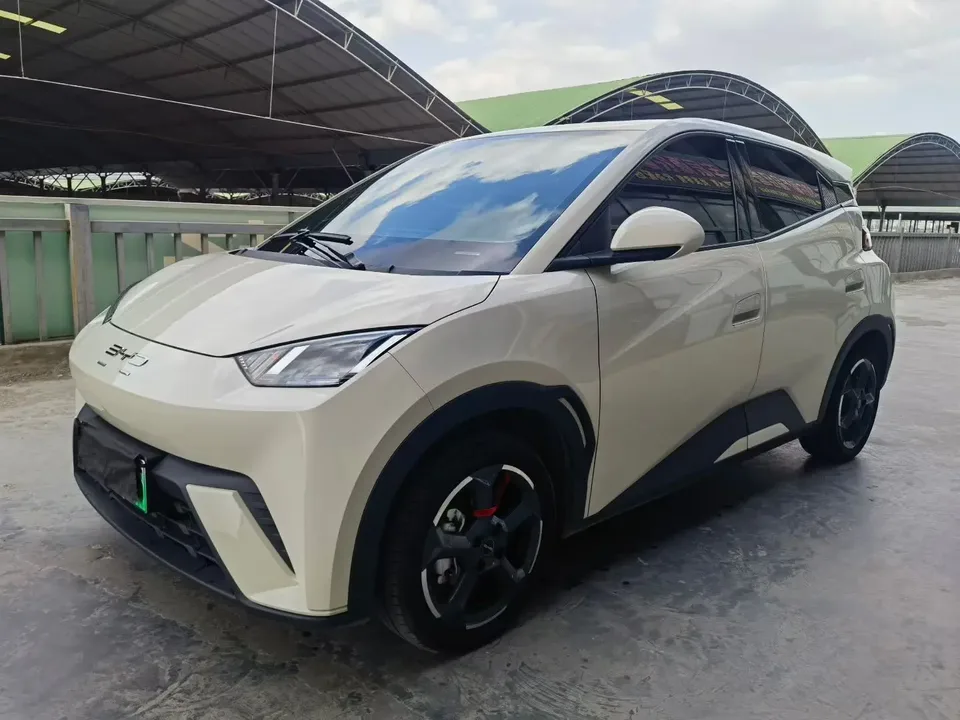 BYD Seagull Seagull 2023 Flying Edition 2024 — photo 1, buy with delivery to Moscow